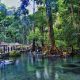 3 Kolam Pemandian yang Alami di Lombok, Konon Bisa Bikin Awet Muda