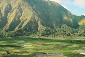 7 Hal Menarik Yang bisa di Lakukan di Sembalun – Lombok