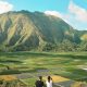 7 Hal Menarik Yang bisa di Lakukan di Sembalun – Lombok