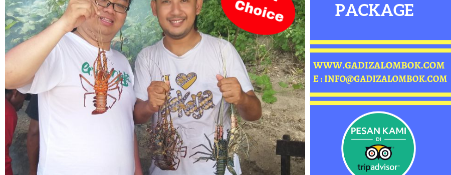 Paket Wisata Lobster di Lombok (Special Live Lobster Show)