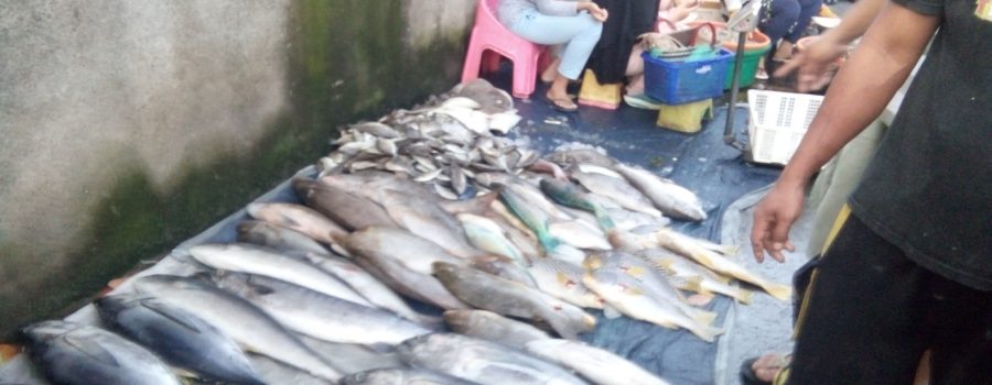 Berburu Ikan Segar di Pelelangan Pasar Kebon Roek Lombok