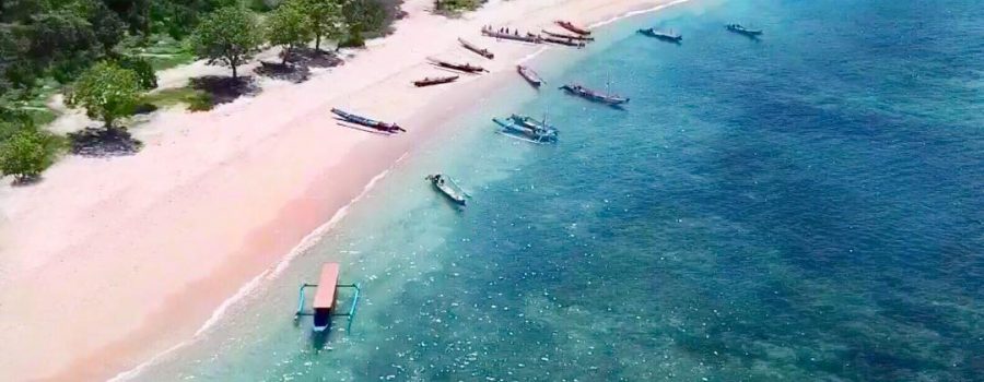 5+ Hal yang Perlu Diketahui Tentang Pantai Pink Lombok