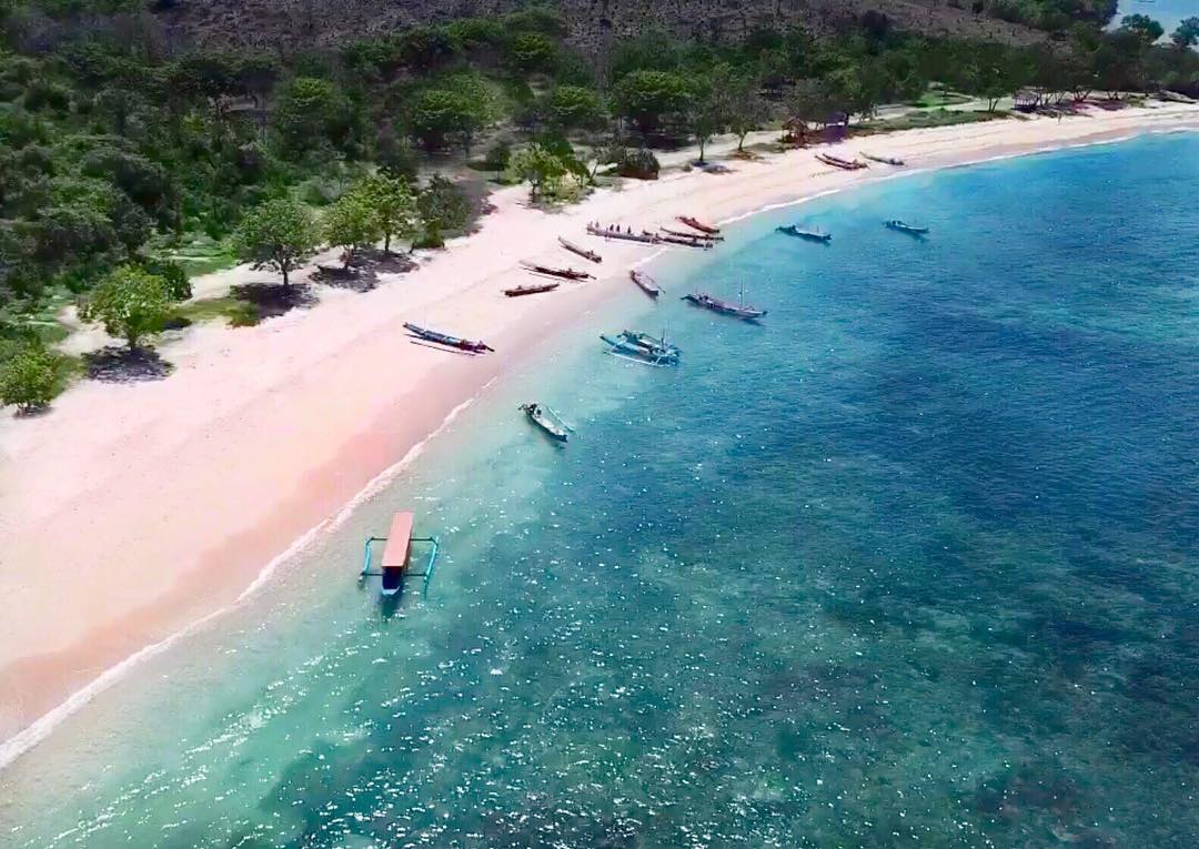 5 Hal yang Perlu Diketahui Tentang Pantai Pink Lombok 