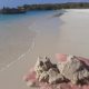 Waktu yang Tepat Untuk Melihat Pasir Warna Pink di Pantai Pink-Lombok
