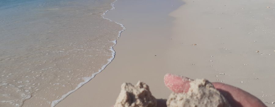 Waktu yang Tepat Untuk Melihat Pasir Warna Pink di Pantai Pink-Lombok