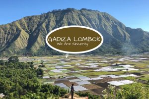 Sembalun Package Tour (Amazing Rice Terrace View)